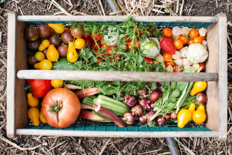 Preserving Fresh Herbs: Proper Storage Tips