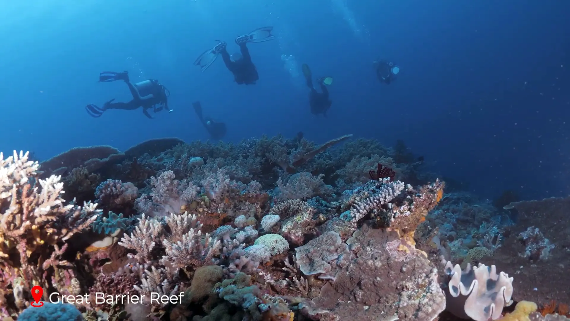 Aerial view of Great Barrier Reef showing mosaic of reef and sea