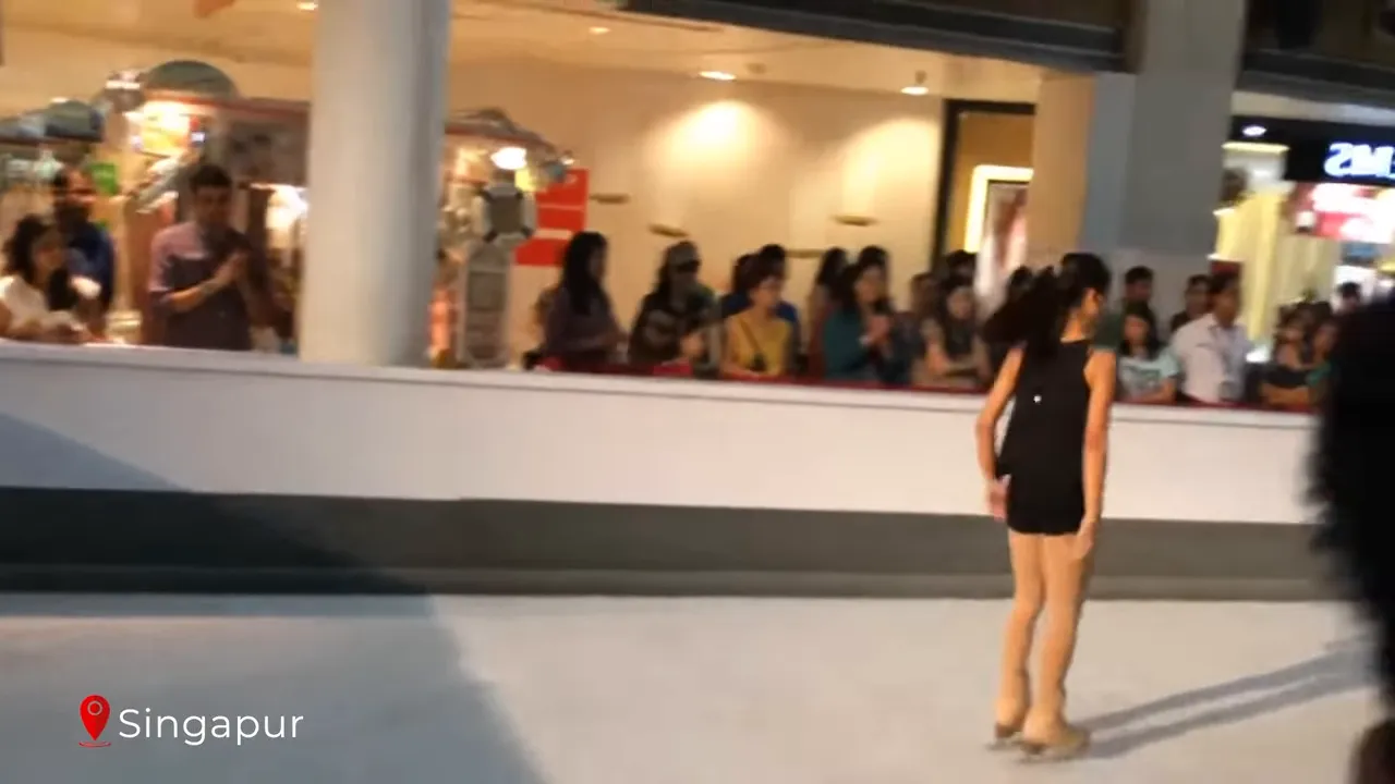 Singapore Gardens by the Bay SuperTree light show at night