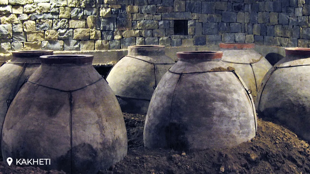 Buried clay kvevri amphorae in a cellar with a stone wall, clearly showing the amphorae necks above the soil